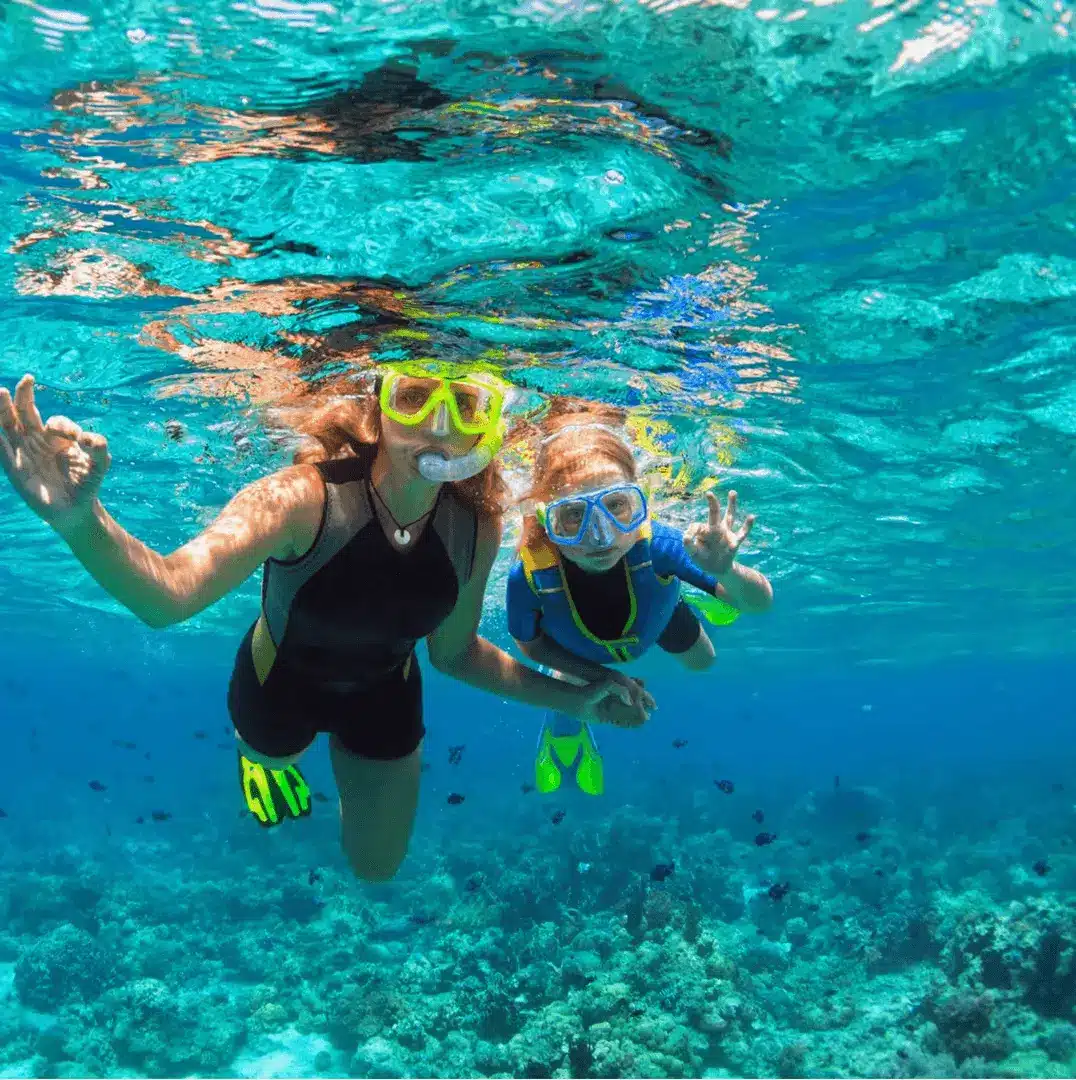 Family snorkeling tour in El Cielo, showing coral and marine life. Family friendly snorkeling tour, El Cielo, coral and sea life.