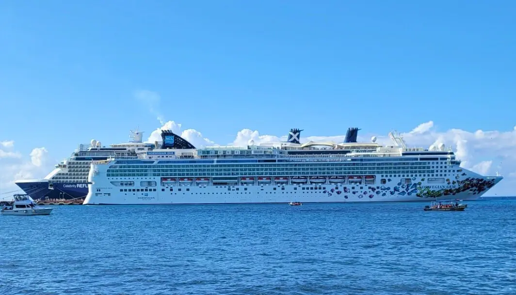 Multiple cruise ships docked, requiring valid passports for travel.