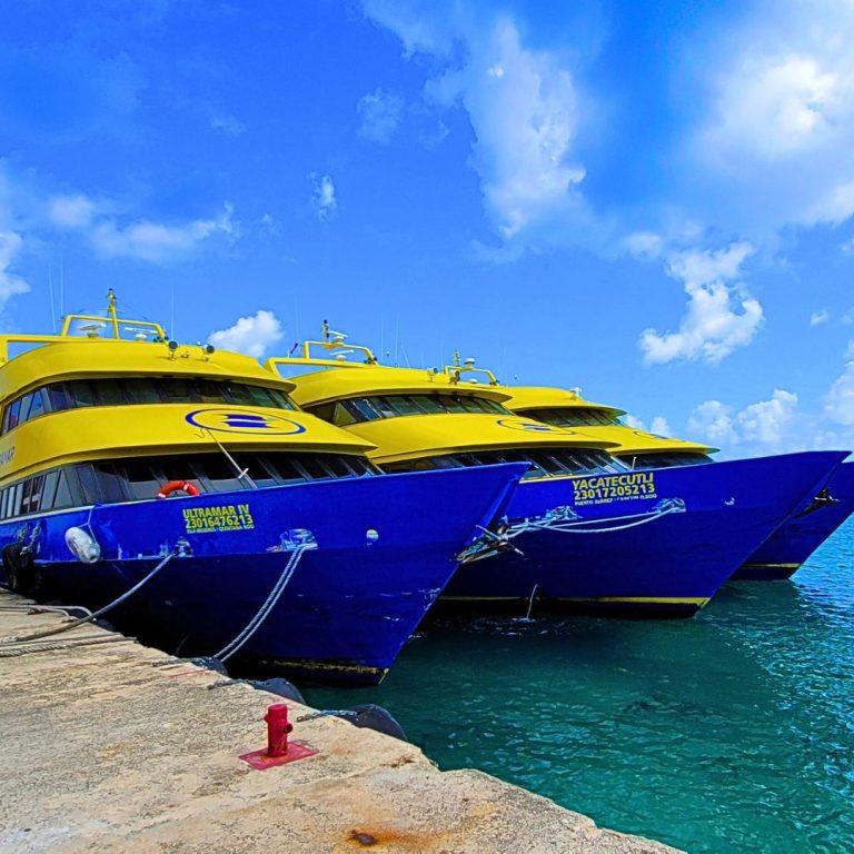 Three yellow and blue Ultramar Cozumel ferry boats docked.