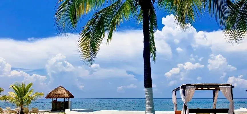 Beachfront area in Cozumel with palm trees, calm water, palapas, and shaded cabanas.