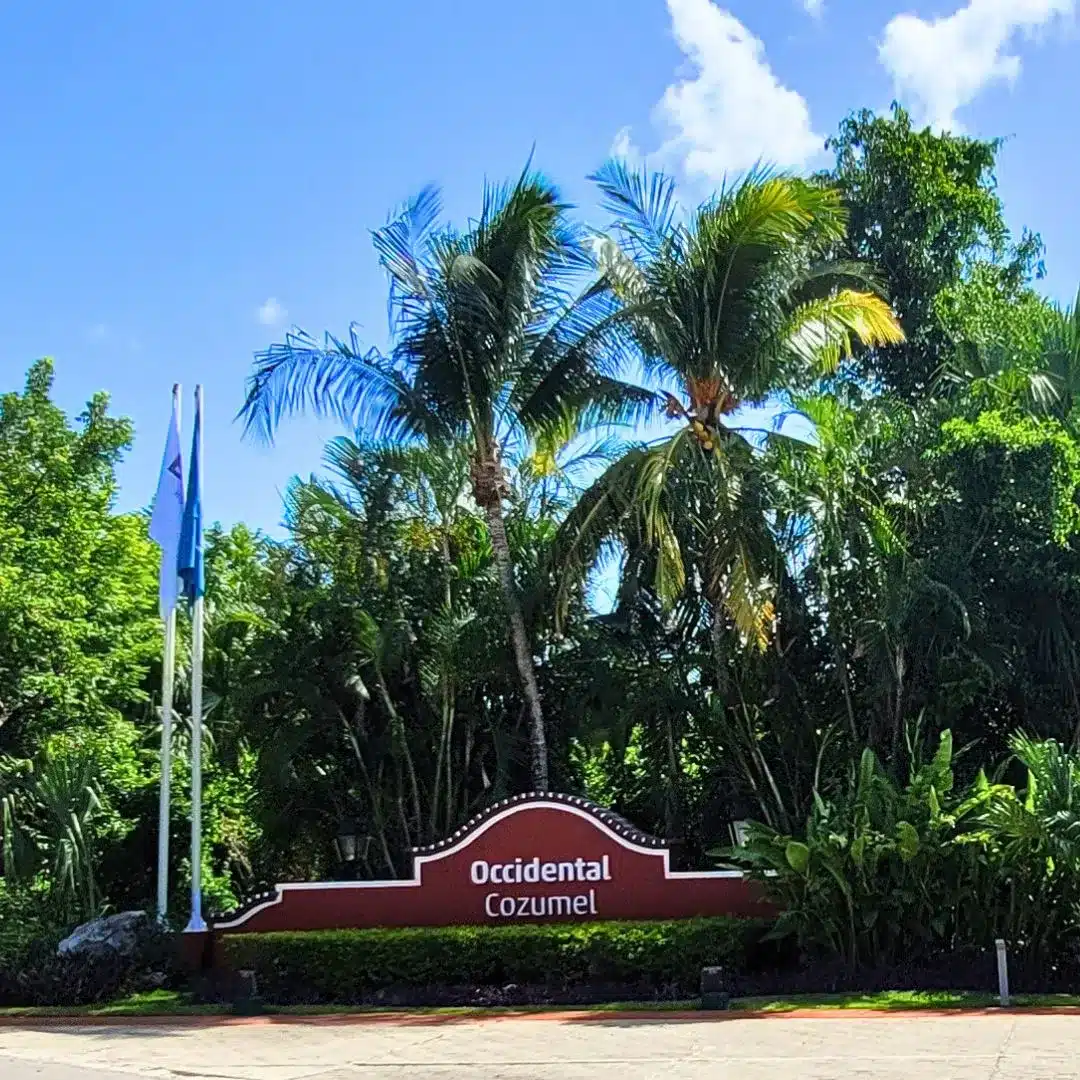 Occidental Cozumel Resort: authentic Mexican setting with nature, where kids can spot iguanas.