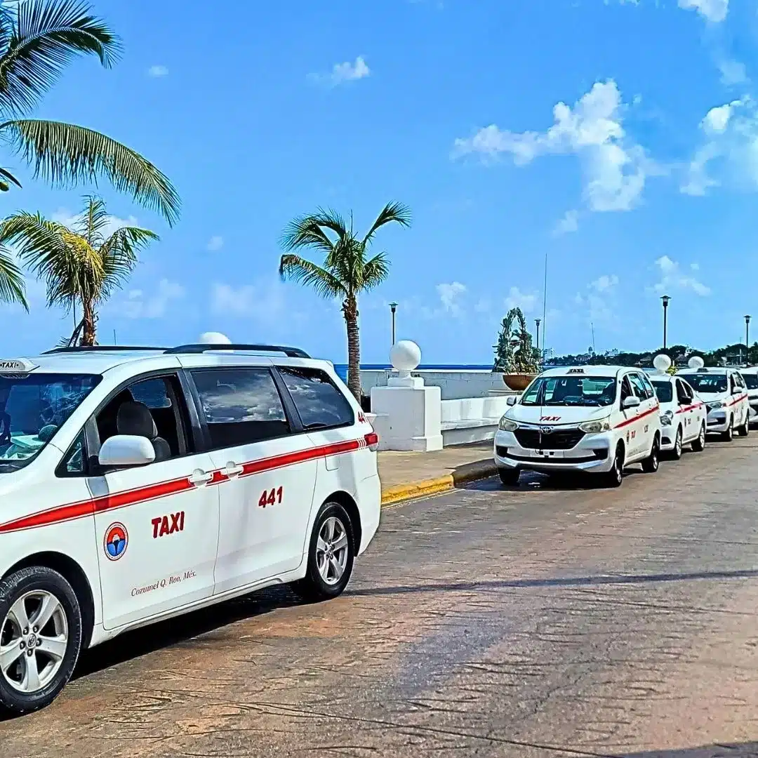 Taxis lined up for Cozumel shore excursions