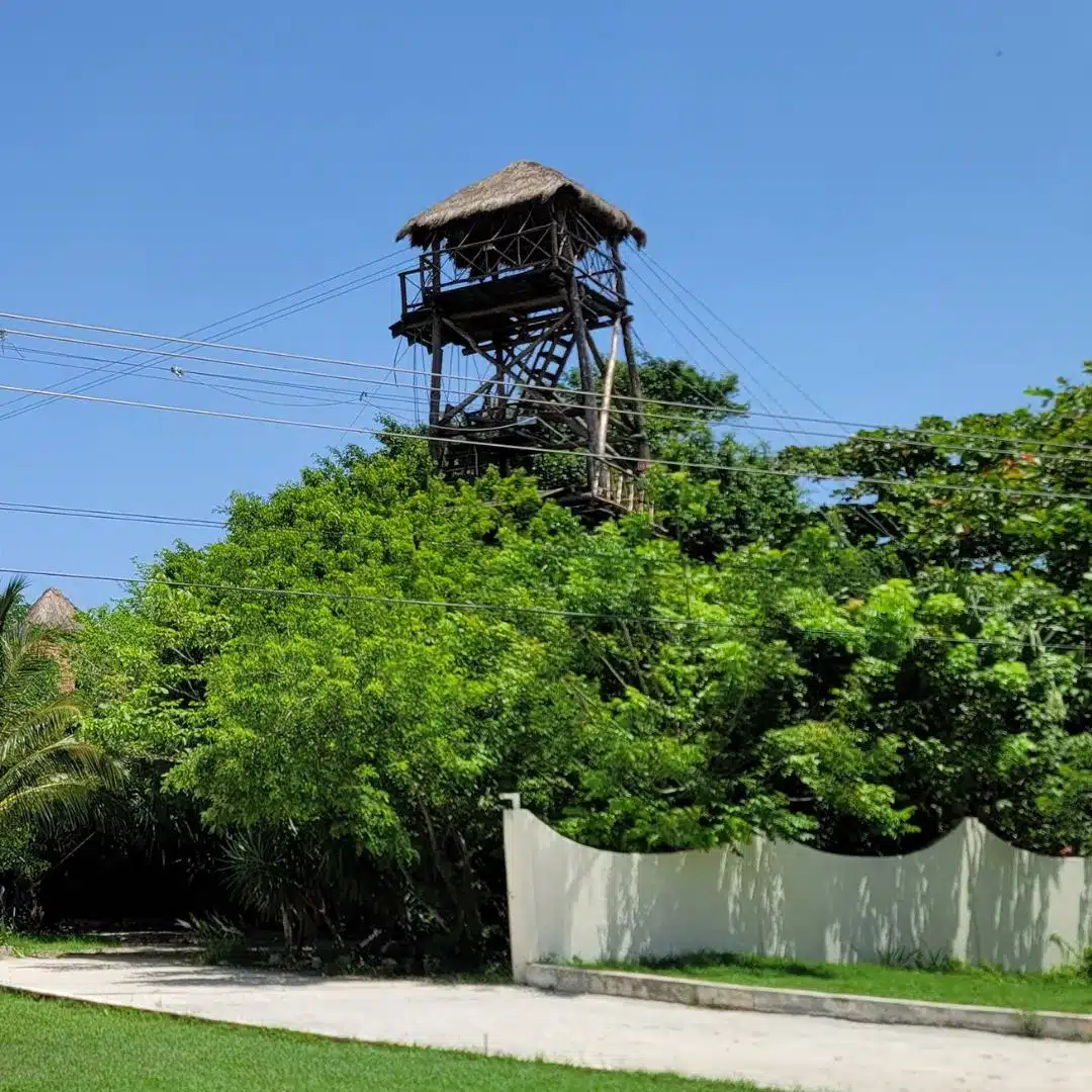 Tourist ziplining over palm trees in Cozumel