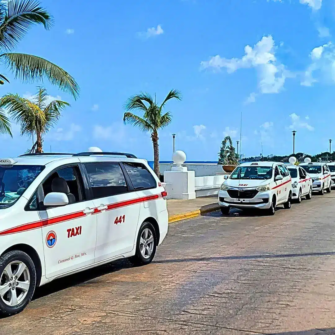 Getting here and around convenient with a line of white taxis waiting on a Cozumel street near the ocean.
