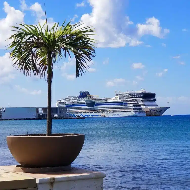 Cruise ship docked at Punta Langosta pier