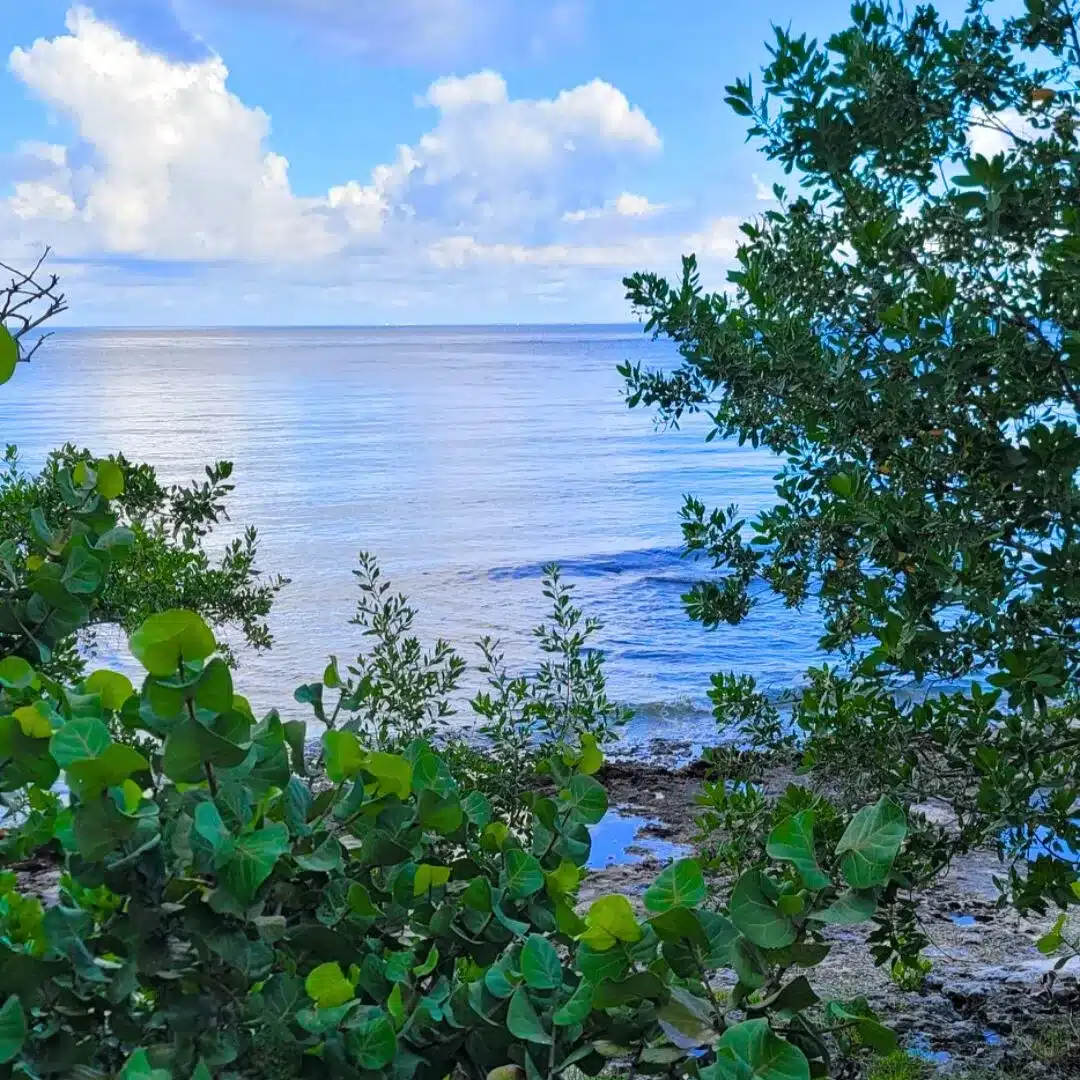 Ocean view along walk from Puerta Maya to downtown
