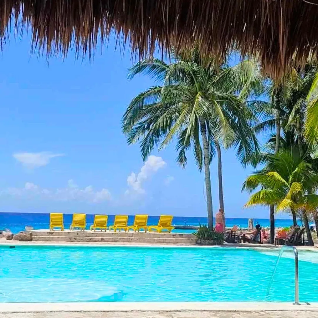 Cozumel beach club with palm trees