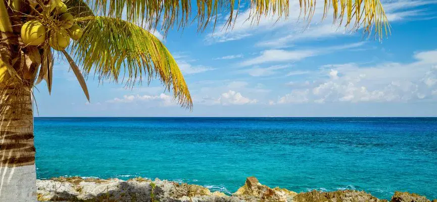 Sand, sun palm trees and clear waters.
